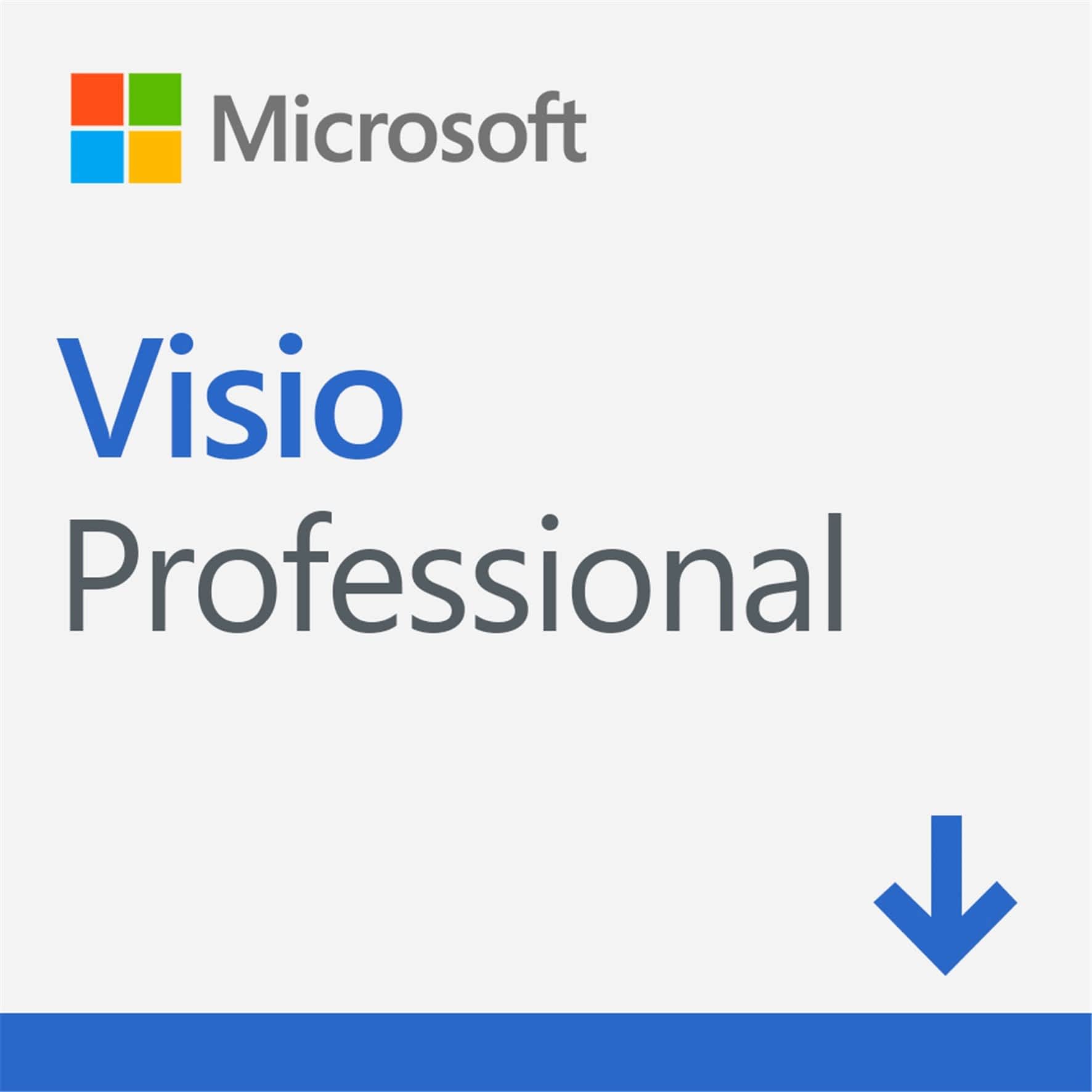 microsoft visio professional 2019 mac